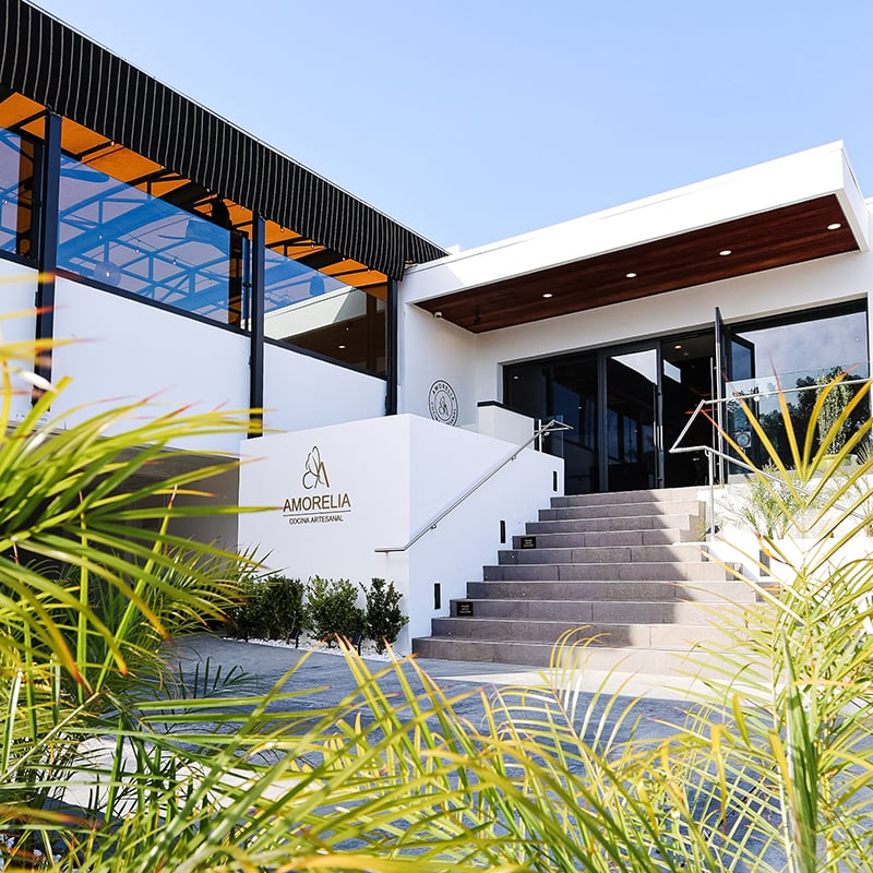 Amorelia Cocina Artesanal 